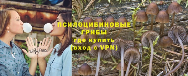 бошки Бронницы