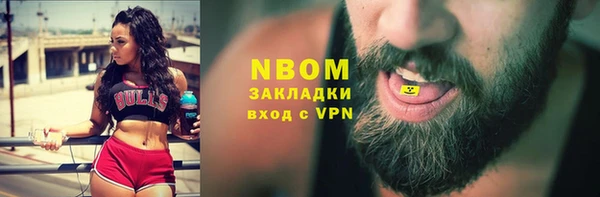 бошки Бронницы