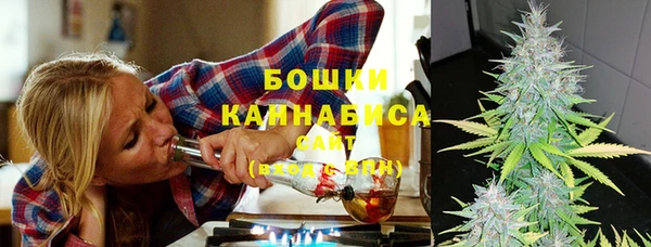 стаф Бугульма